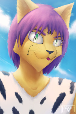 arcsuh