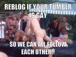 twinklovesbbc