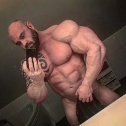 bear2x