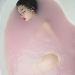 teadealer