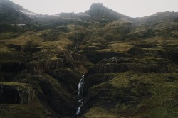 pale-sensual