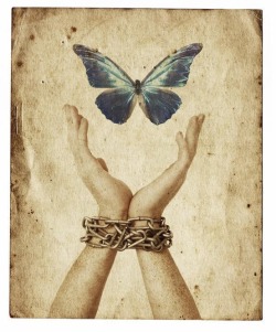 the-captive-kitten