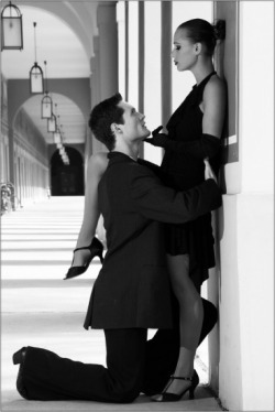 classyfemdomuniverse
