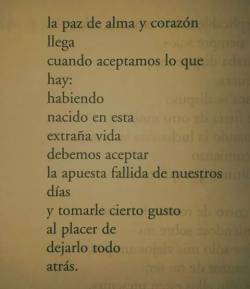 indiferente-densa-realidad