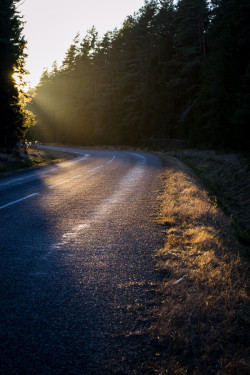 endlessroadhome