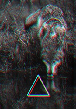 nvsvc