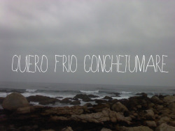 de-boca-cerrada-no-salen-moscas