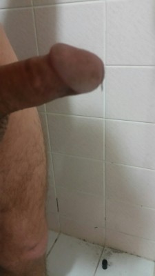 hayalet22