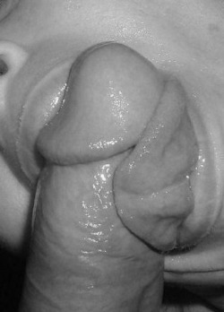 shaved24u