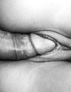 admiring-these-images